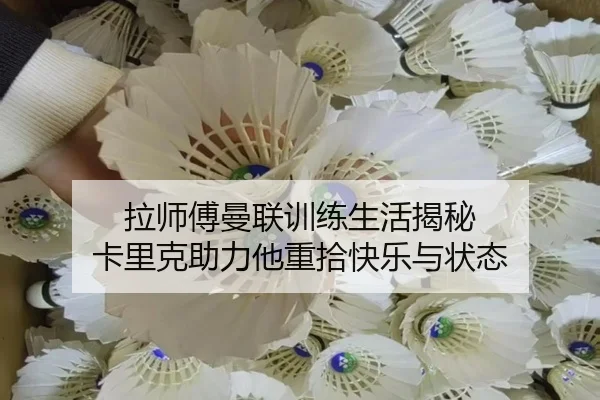 拉师傅曼联训练生活揭秘 卡里克助力他重拾快乐与状态