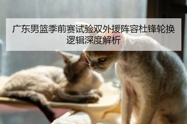 广东男篮季前赛试验双外援阵容杜锋轮换逻辑深度解析